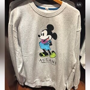 Disney Aulani Hawaii Resort & Spa Sweatshirt Gray Pullover Mickey 2025